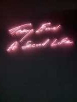 Tracey Emin – Een directe lijn naar de hand
